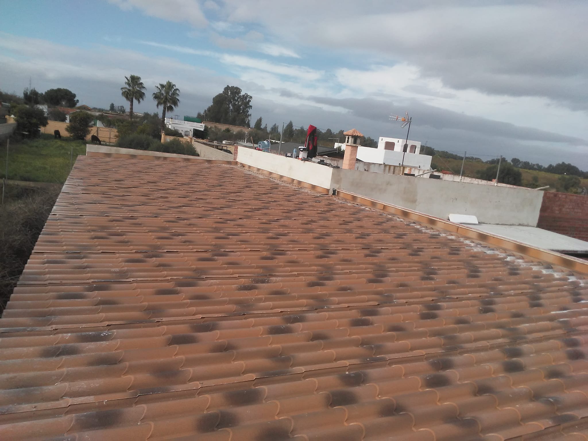 Cubierta de panel sandwich para vivienda o exterior en La Puebla del Río